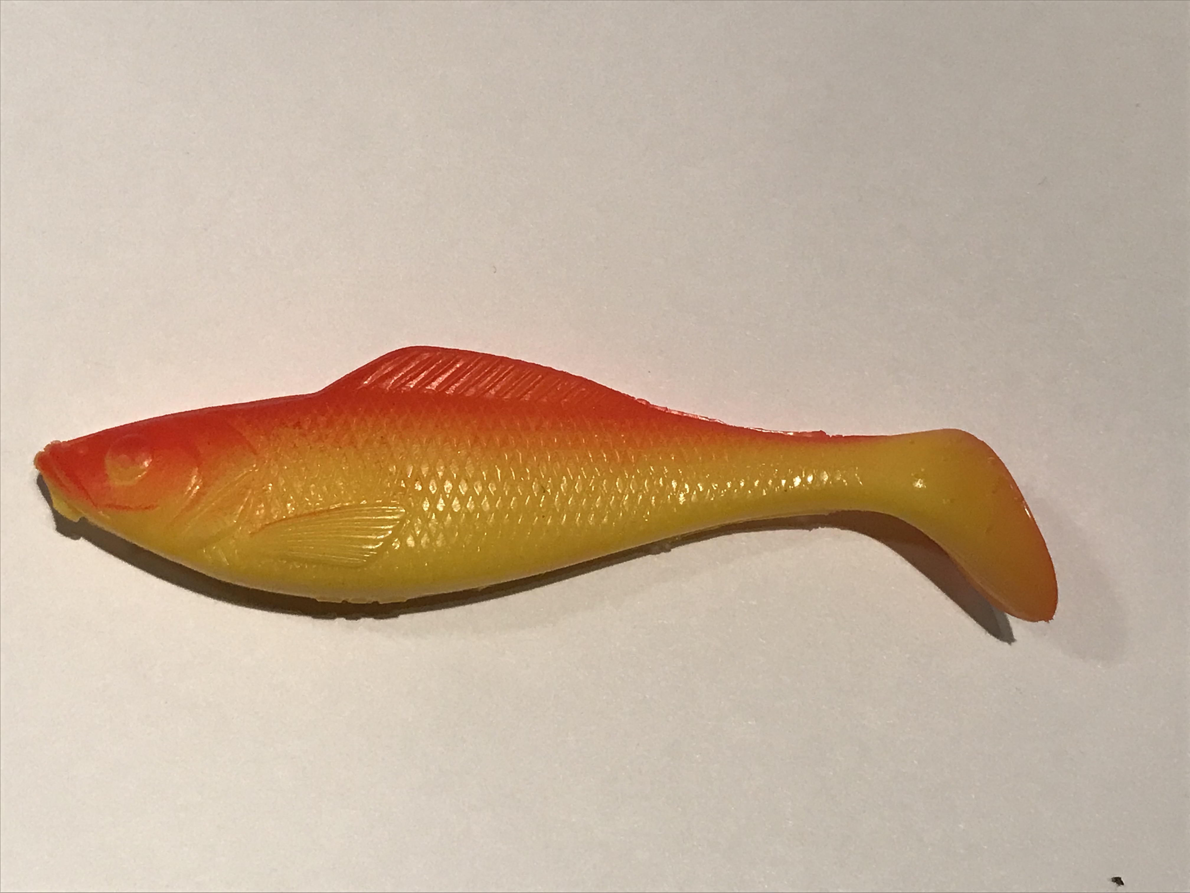 gumy 016.JPG